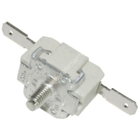 Термостат пароблока